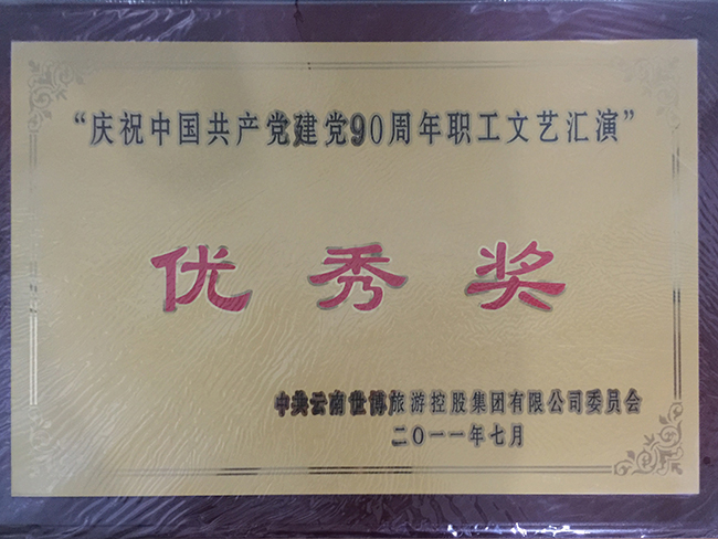 13.建党90周年汇演优秀奖 副本