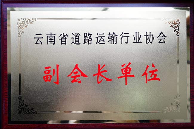 44云南省道路运输行业协会副会长单位